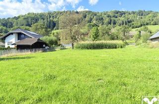 Grundstück zu kaufen in 9851 Lieserbrücke, Baugrundstück Nähe Millstätter See