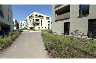 Wohnung mieten in 6850 Dornbirn, NEUBAU: 2-Zimmerwohnung mit schöner Terrasse in Dornbirn zu vermieten