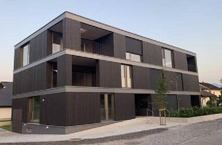 Wohnung mieten in 6923 Lauterach, Erstbezug: Modernes möbliertes Appartement in zentraler Lage