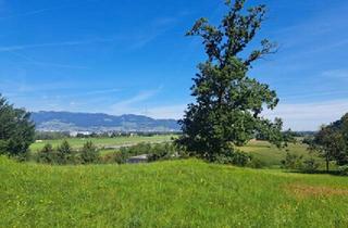 Grundstück zu kaufen in 6842 Koblach, Exklusives Baugrundstück 1338m² am Gitzebühel in Koblach mit bester Sicht auf die Schweizer Bergwelt!