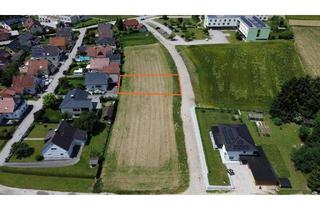 Grundstück zu kaufen in Haizingerstraße, 4081 Hartkirchen, Attraktives Baugrundstück in Hartkirchen – ideal für Ihr Traumhaus