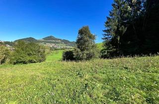 Grundstück zu kaufen in 4463 Großraming, Ihre Gelegenheit: Baugrund - Weitblick - Wald
