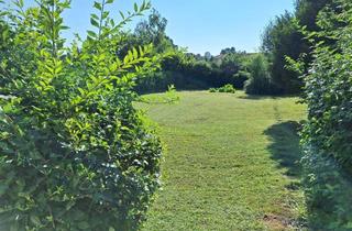 Einfamilienhaus kaufen in 3133 Traismauer, Einfamilienhaus mit grossem Grund