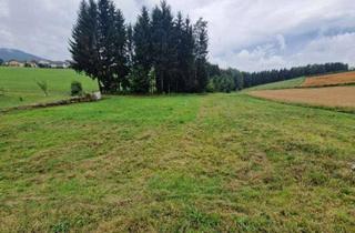 Grundstück zu kaufen in 8234 Lebing, Sonniger, absolut ruhiger Baugrund ohne Bauzwang