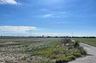 Agrarfläche kaufen in 2201 Gerasdorf, Großes Ackergrundstück zu Verkaufen!