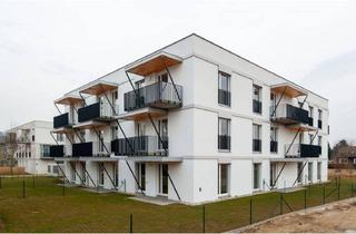 Wohnung mieten in Bachstraße 20/6, 3372 Blindenmarkt, BLINDENMARKT I/3, geförderte Mietwohnung mit Kaufoption, Top 6/3, 1000/00009810/00001103