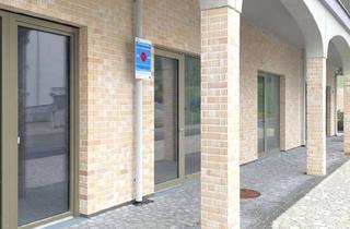 Geschäftslokal mieten in Fuchsenstraße 7, 3451 Pixendorf, Ihr neuer Standort in Pixendorf!