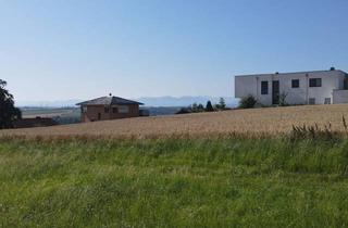 Wohnung kaufen in Weizenweg F 02, 4531 Kematen an der Krems, Elegantes Erstbezug-Domizil in Kematen - mit Terrase, Garten/Balkon & Carportstellplatz!