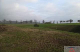 Grundstück zu kaufen in 4342 Baumgartenberg, Tolle Baugrundstücke in 4342 Baumgartenberg!