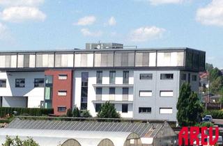 Büro zu mieten in Paschingerstraße 59, 4060 Leonding, ATTRAKTIVE GEWERBEHALLE IN LEONDING – 1. ETAGE ZU MIETEN!
