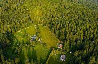 Grundstück zu kaufen in 9552 Steindorf am Ossiacher See, Baugrundstücke mit Zweitwohnsitz-Möglichkeit in herrlicher Naturlage