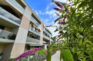 Wohnung mieten in Kasernstraße, 3500 Krems an der Donau, 55qm- 2ZI- Südbalkonwohnung, Lift, Tiefgarage, Kasernstraße