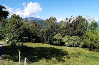 Grundstück zu kaufen in 9872 Millstatt am See, Wundeschönes Baugrundstück mit Seeblick, Bergpanorama und Fernsicht Nur 100 m vom Ufer des Millstätter Sees entfernt
