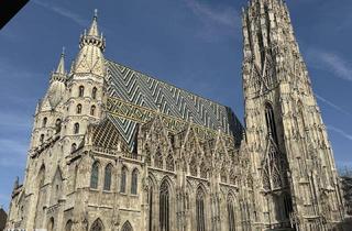 Wohnung mieten in 1010 Wien, Stilvoll wohnen über den Dächern der Stadt – Möblierte 2-Zimmer-Residenz in Toplage