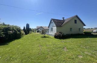 Haus kaufen in 4611 Buchkirchen, Kleines Sacherl, Großes Grundstück