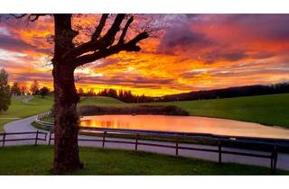 Grundstück zu kaufen in 6900 Möggers, Möggers | Großzügiges Grundstück (1.577 m²)