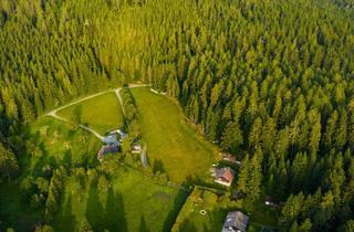 Grundstück zu kaufen in 9552 Steindorf am Ossiacher See, Baugrundstücke mit Zweitwohnsitz-Möglichkeit in herrlicher Naturlage