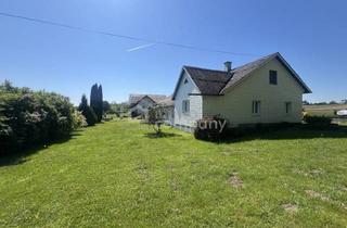Haus kaufen in 4611 Buchkirchen, Kleines Sacherl, Großes Grundstück
