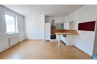 Wohnung kaufen in Leibenfrostgasse, 1040 Wien, Zwischen Sehnsucht und Realität - Das Herzstück städtischen Lebens!