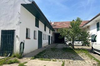 Haus kaufen in Ortsstraße 22, 3464 Zaina, Großer Hof mit viel Gestaltungsspielraum