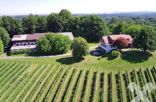 Haus kaufen in 8530 Hohlbach, Landsitz in einzigartiger Allein- und Aussichtslage in der Südweststeiermark