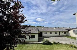 Einfamilienhaus kaufen in 2133 Ungerndorf, Landhausidylle - Bauernhaus mit vielseitigen Nutzungsmöglichkeiten