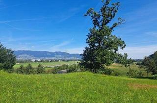 Grundstück zu kaufen in Gitzebühel, 6842 Koblach, Exklusives Baugrundstück 1338m² am Gitzebühel in Koblach mit bester Sicht auf die Schweizer Bergwelt!