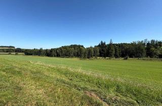 Grundstück zu kaufen in 4972 Utzenaich, LN-Grund Wiese und Ackerflächen