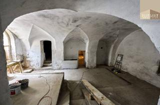 Immobilie mieten in Spitzendorfergasse, 2511 Pfaffstätten, Historischer Keller zur vielseitigen Nutzung