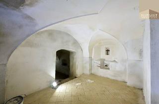 Immobilie mieten in Spitzendorfergasse, 2511 Pfaffstätten, Variabler Lagerraum in Pfaffstätten mit eigenem Eingang