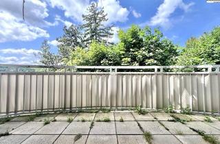 Wohnung mieten in Pötzleinsdorferstraßer Schlosspark, 1180 Wien, 360° TOUR // TERRASSENWOHNUNG in PÖTZLEINSDORF