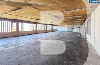Lager mieten in 4050 Traun, große Lagerfläche - 330 m² Nutzfläche