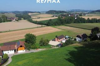 Grundstück zu kaufen in 4690 Pitzenberg, Baugrundstück mit Fernblick in Pitzenberg - Schwanenstadt zu kaufen!