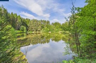 Immobilie kaufen in 3860 Heidenreichstein, NATURJUWEL WALDVIERTEL - Professionelle Waldteichanlage 4,3 ha
