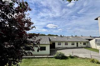 Bauernhäuser zu kaufen in 2133 Hagendorf, Landhausidylle - Bauernhaus mit vielseitigen Nutzungsmöglichkeiten