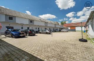 Haus kaufen in 2286 Haringsee, Optimal für drei bis vier Familien – mit weitläufigem Gemeinschaftsgarten zur gemeinsamen Nutzung.