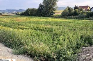 Grundstück zu kaufen in 3062 Kirchstetten, JETZT HEISST ES SCHNELL SEIN! 859 m2 GRUNDSTÜCK IN KIRCHSTETTEN-TOTZENBACH!
