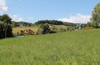 Grundstück zu kaufen in Pöllau Bei Gleisdorf, 8311 Markt Hartmannsdorf, Baugrund (Größe 3711 m2) in Pöllau bei Gleisdorf zu verkaufen