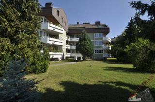 Wohnung kaufen in 3100 Sankt Pölten, Dachterrassenwohnung in wunderschöner ruhiger Lage nähe Traisenpark