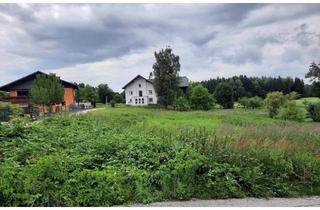 Grundstück zu kaufen in 5111 Bürmoos, Sonniges Baugrundstück: 807m2 Bauland mit 1065m2 angrenzender "Entwicklungsfläche für Wohnen" (dzt. Grünland)