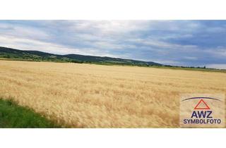 Grundstück zu kaufen in 3350 Haag, Verkaufe sehr gutes Ackerland!