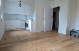 Wohnung mieten in Schäffergasse, 1040 Wien, Schäffergasse 20: Einraumwohnung als Erstbezug ab sofort *Hofruhelage*