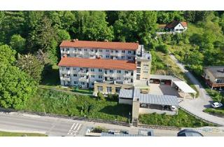 Wohnung mieten in 2754 Waldegg, sonnige 1-Zimmer-Wohnung für SENIOREN mit großzügigen Balkon in Waldegg - Top 11