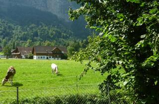 Wohnung mieten in 6850 Dornbirn, Eckgartenwohnung in traumhaft ruhiger Lage im Hatlerdorf