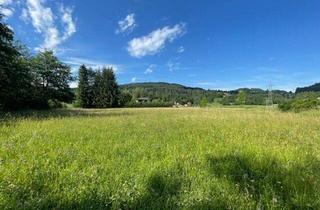 Grundstück zu kaufen in Hafnersee, 9535 Schiefling, Schöne landwirtschaftliche Flächen mit 3.208m² - Nähe Hafnersee - Kein Baugrund!