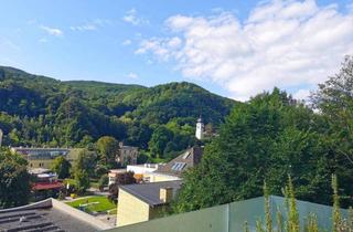 Maisonette kaufen in 2391 Kaltenleutgeben, Charmante Maisonette mit großzügiger Terrasse und Grünblick in Kaltenleutgeben
