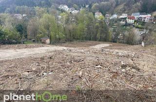 Grundstück zu kaufen in 2391 Kaltenleutgeben, Grundstück in Hanglage in Kaltenleutgeben