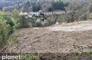 Grundstück zu kaufen in 2391 Kaltenleutgeben, Grundstück in Hanglage in Kaltenleutgeben