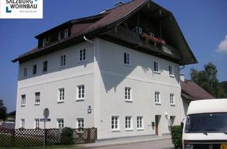 Wohnung kaufen in Zehenthofweg 1, 5303 Thalgau, Gemütliche 2 Zimmer Dachgeschoßwohnung mit Balkon und Carport in Thalgau - mtl. Rückzahlung ab EUR 673,-