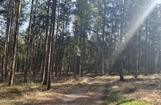 Immobilie kaufen in 5231 Schalchen, Wald